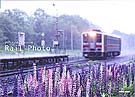 Rail Photo